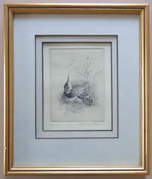 Maarten Langbroek - LOT 2 STUKS / KIEVIT + KAPMEEUW / ZW-W ETS / 26x22cm / KADER / SIG kopen? Bied vanaf 45!