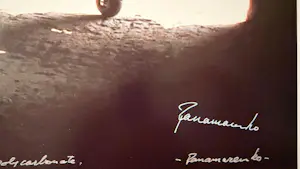 Panamarenko - Raven's Variable Matrix kopen? Bied vanaf 225!