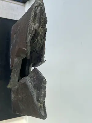 AcheterSrja Schoffelen - Beeld? Enchérissez de 650!