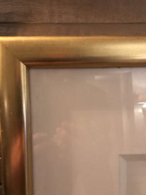 Jan Cremer - Ten tulips kopen? Bied vanaf 100!