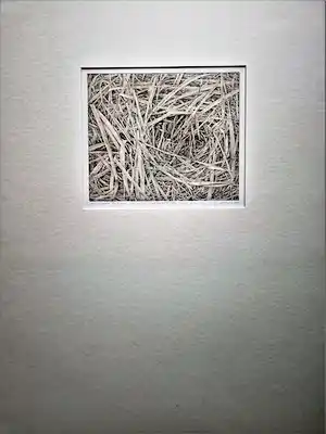 Han van Hagen - Fraai gedetailleerde droge naald Ets "Grassen II" potloodgesigneerd verkauft für € 48!