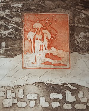 Jan Montyn - kleurenets 59/90, gesigneerd en gedateerd 1997 kopen? Bied vanaf 1!