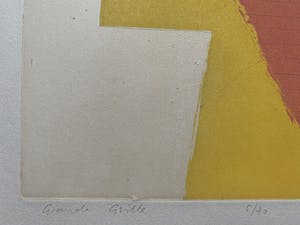 Hans Vredegoor - ets/aquatint | 'Grande grille' | 1994 kopen? Bied vanaf 25!