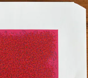 Bernd Berner - Gesigneerde kleurenlithografie - 1971 - 1/100 kopen? Bied vanaf 115!