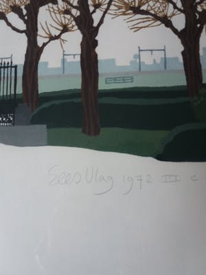 Sees Vlag - 1885 - Paulinebergh kopen? Bied vanaf 75!