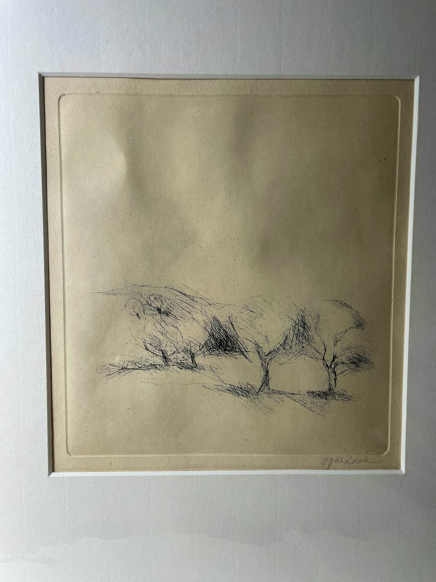 Harry op de Laak - bomen kopen? Bied vanaf 45!