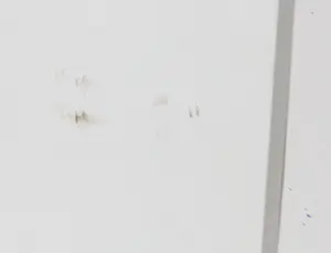 Onno de Graaf - Zeefdruk, Egypte - Ingelijst kopen? Bied vanaf 35!