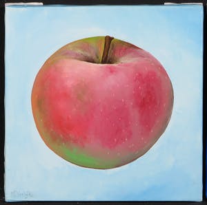 Mylene Vrolijk - Olieverf op doek, Vierluik appels kopen? Bied vanaf 10!