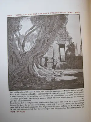 Antiquarisch Boek - WOJ Nieuwenkamp Zwerftochten op Bali. kopen? Bied vanaf 50!