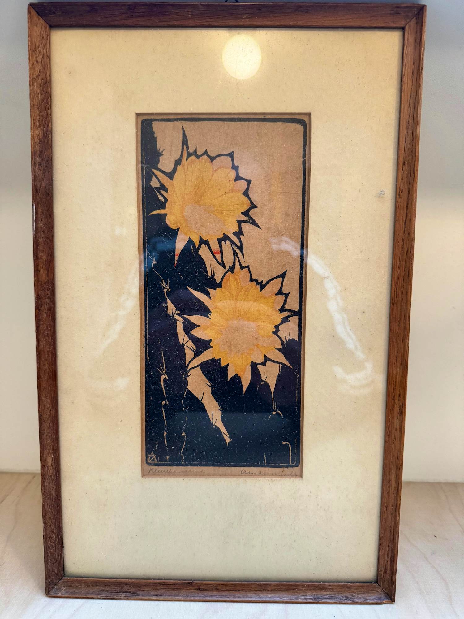 Arie Zonneveld - Cactus kopen? Bied vanaf 150!