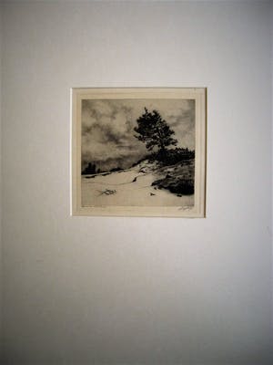 Dirk Harting - Meesterlijk Etser - Willink van Collenprijs 1913 - "Duinlandschap" gesigneerd kopen? Bied vanaf 10!