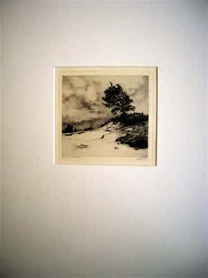 Dirk Harting - Meesterlijk Etser - Willink van Collenprijs 1913 - "Duinlandschap" gesigneerd verkocht voor € 10!