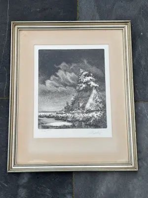 Antoon Torrekens - Bloei kopen? Bied vanaf 20!