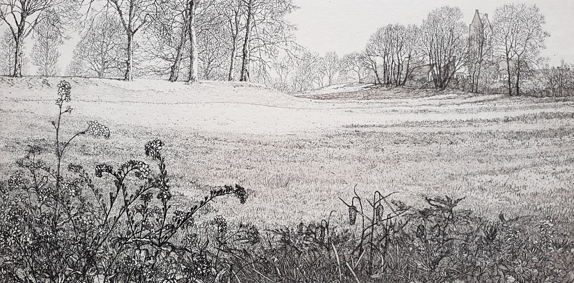 Reinder Homan - Bosrand bij terp, ets verkocht voor € 95!