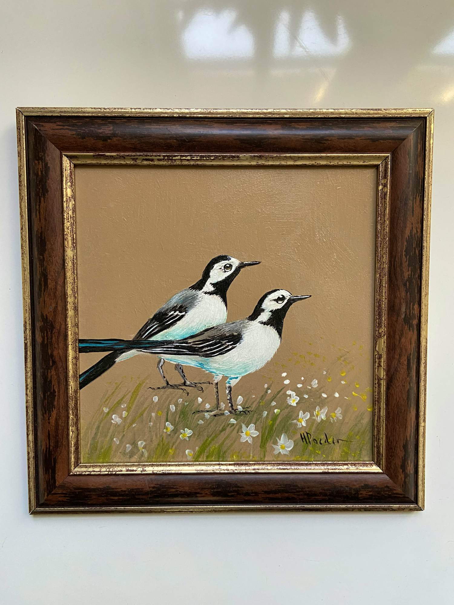 Henk Poeder - Witte kwikstaarten verkocht voor € 69!