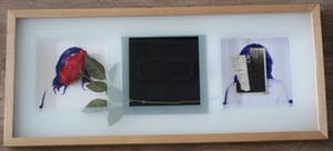 Julia Winter - Collage: Artificial Resperiation - 2002 kopen? Bied vanaf 99!