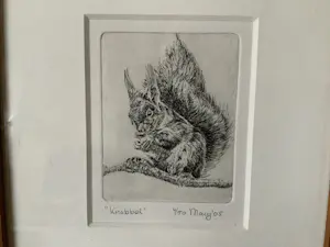 Mary Plantenga - “Knabbel” kopen? Bied vanaf 20!