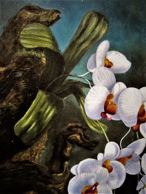 Cor Jacobi - in 1959 Magisch Realistisch geschilderd "Witytte Orchidee aan tak" gesigneerd kopen? Bied vanaf 64!