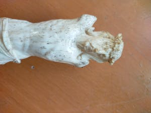Curiosa - Corpus Christus - been of ivoor (-) kopen? Bied vanaf 1!
