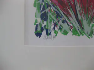 Ad van Hassel - Tulpen donker rood kopen? Bied vanaf 1!