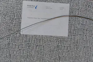 Co Westerik - Ingelijste kleurenlitho 'Am Waldrand' kaufen? Bieten Sie von 250!