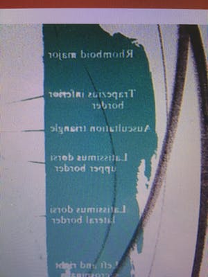 Jos van Doorn - K + VS 217 kopen? Bied vanaf 50!