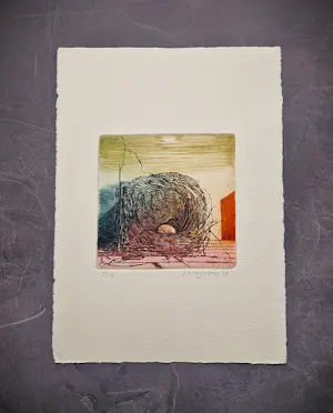 Nicolaas Wijnberg - een hele leuke, in zeer kleine oplage (12) gemaakte kleuren-Ets "Kievitsei" kopen? Bied vanaf 37!