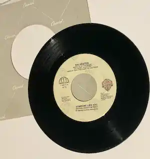Sylvester - Someone Like You verkauft für € 1!