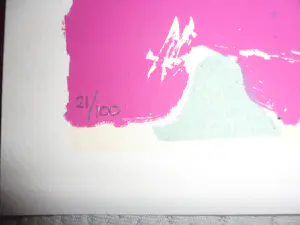 Peter Klashorst - Zeefdruk, Face - hand gesigneerd - 100 ex kopen? Bied vanaf 80!