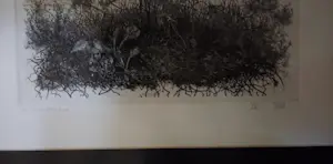 Willem Minderman - Planten, ets kopen? Bied vanaf 59!