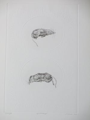 Gerard van Rooy - Spitsmuisjes - Ets met reliëfdruk kopen? Bied vanaf 65!