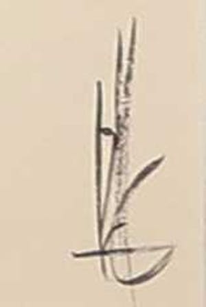 Melle Oldeboerrigter - Inkttekening op papier, z.t. Landschap kopen? Bied vanaf 100!