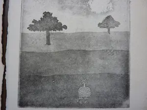 Margriet Snel - serie 4 etsen van vreemde vogels kopen? Bied vanaf 5!