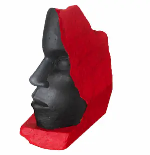 Bert Witte - I am NOT your NEGRO! kopen? Bied vanaf 190!