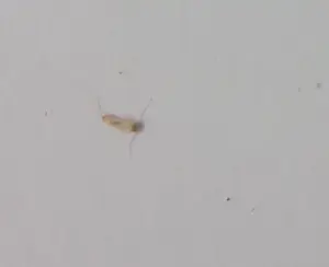 Bob Karhof - Foto, Rotterdam Maaskade - Ingelijst (Zeer groot) kopen? Bied vanaf 50!