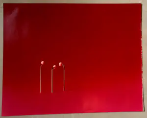 Jean Ruiter - Foto: De verdoemden - 1982 kopen? Bied vanaf 55!