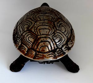 Curiosa - Hotelbel in vorm van schildpad kopen? Bied vanaf 50!