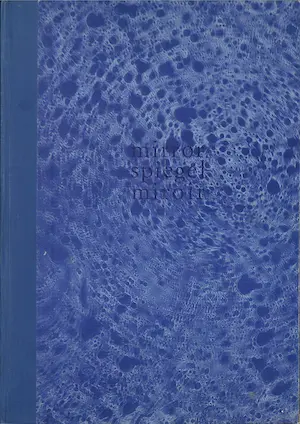 Woody van Amen - en anderen: Mirror Spiegel Miroir Kunstenaars boek + Extra Peter Pontiac kopen? Bied vanaf 40!