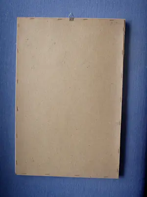 Niet of onleesbaar gesigneerd - Mansportret - Albert Einstein kopen? Bied vanaf 1!