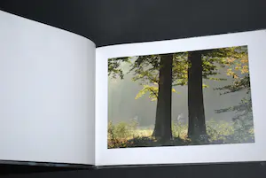 Marc Mulders - 6 boeken: 1x sign Jorn v Leeuwen, 5x bijna nieuw kopen? Bied vanaf 60!