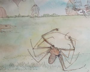 Marie Anne Steenhuizen - Surrealistische voorstelling van mensen en dieren kopen? Bied vanaf 1!