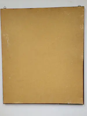 Jac. de Beer - Chrysanten kopen? Bied vanaf 45!