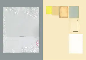 Ryan McGinley - Ryan McGinley, Walid Raad, Pierre Henry kopen? Bied vanaf 1!