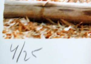 Jean Ruiter - Bamboe sculpture kopen? Bied vanaf 600!