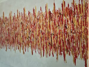 John Foppen - Rapsody In Gold + Red. ...... # K02 . XL. kopen? Bied vanaf 169!