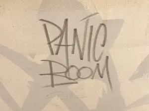 Parscha Mirghawameddin - Panic Room kopen? Bied vanaf 200!