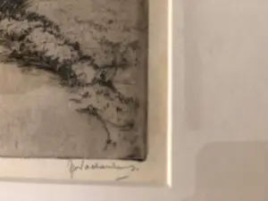 Jan Coenraad Nachenius - Omg. veenendaal kopen? Bied vanaf 45!