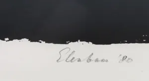 Wally Elenbaas - Zeefdruk, Het groene gras - Ingelijst kopen? Bied vanaf 50!