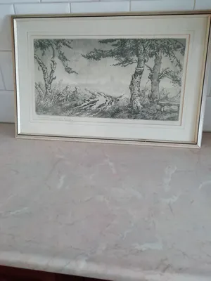 Toon de Jong - basilisk st jans kopen? Bied vanaf 25!