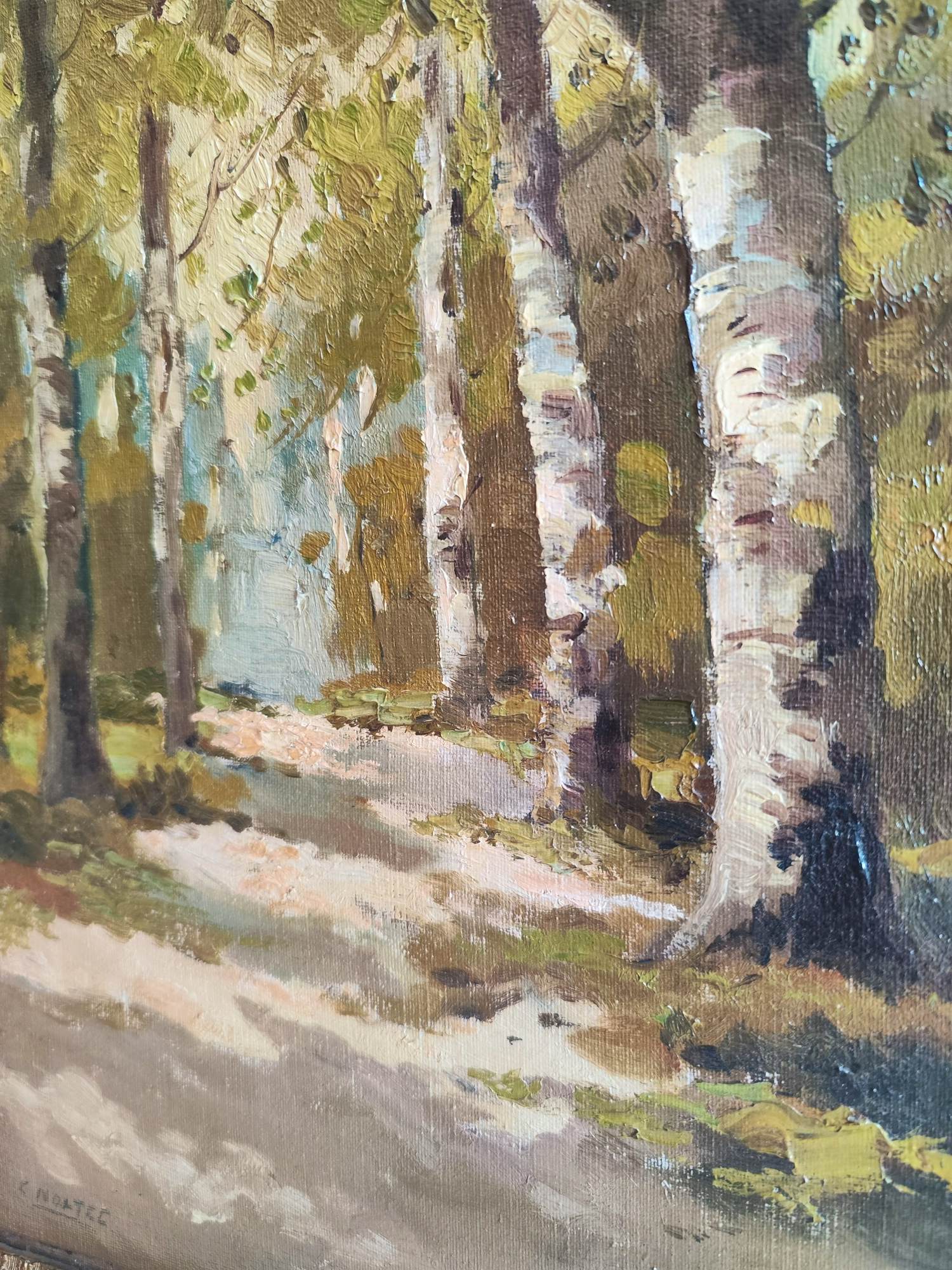 Cor Noltee - Het Zonnige Berkenpad kopen? Bied vanaf 90!